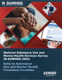 National Substance Use and Mental Health Services Survey (N-SUMHSS) 2022: Data on Substance Use and Mental Health Treatment Facilities