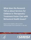 What does the Research Tell us about Services for Children in Therapeutic/Treatment Foster Care with Behavioral Health Issues?
