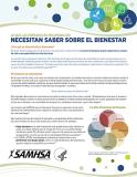 What Individuals in Recovery Need to Know About Wellness (Spanish Version)