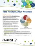 What Health Providers and Organizations Need to Know About Wellness