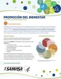 Promoting Wellness: A Guide to Community Action (Spanish Version)