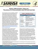 In Brief: Rural Behavioral Health: Telehealth Challenges and Opportunities
