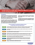 Older Adults Living with Serious Mental Illness:  The State of the Behavioral Health Workforce