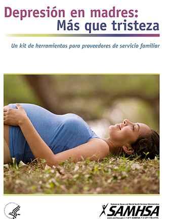 Depression in Mothers: More Than the Blues--A Tool Kit for Family Service Providers (Spanish Version)
